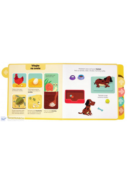 Mláďatá  Moja knižka s pohyblivými prvkami