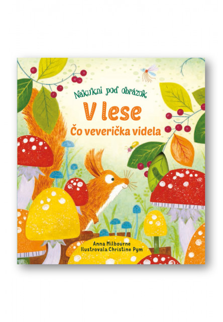 V lese – Čo veverička videla?