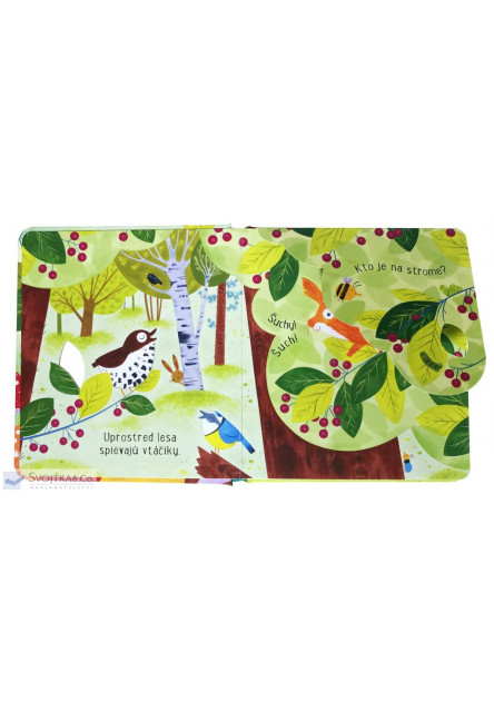 V lese – Čo veverička videla?