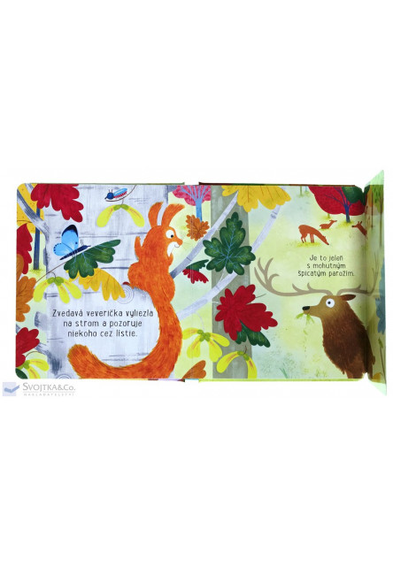 V lese – Čo veverička videla?