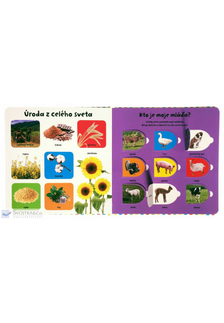 Pozri sa pod okienko - Farma 100 prvých slov