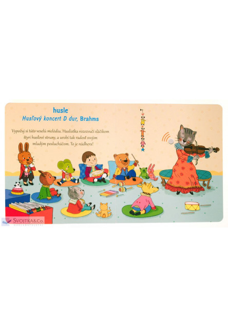 Moje klasické hudobné nástroje