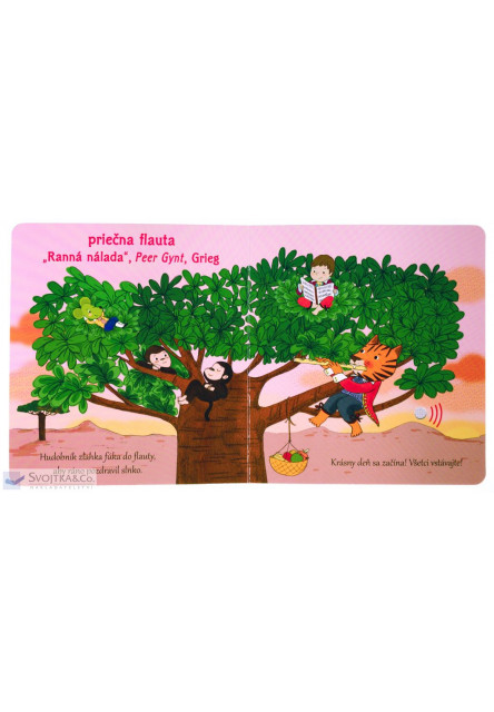 Moje klasické hudobné nástroje