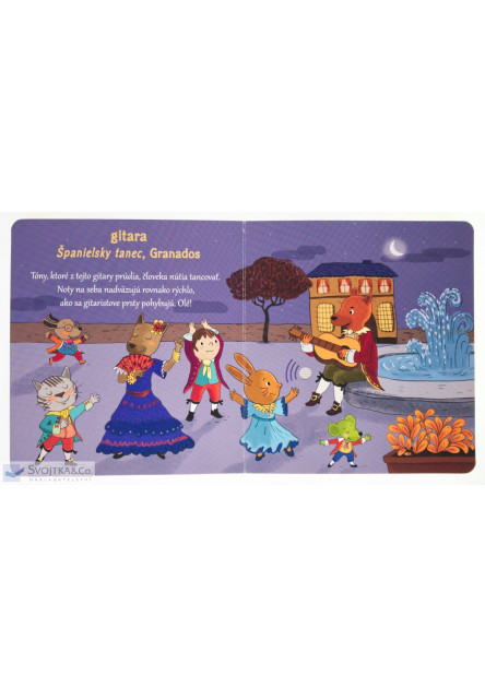 Moje klasické hudobné nástroje