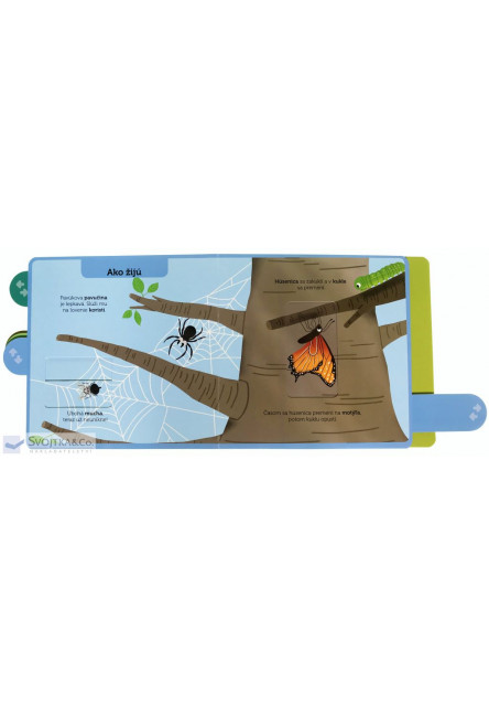 Hmyz Moja knižka s pohyblivými prvkami