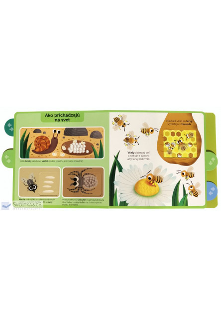 Hmyz Moja knižka s pohyblivými prvkami