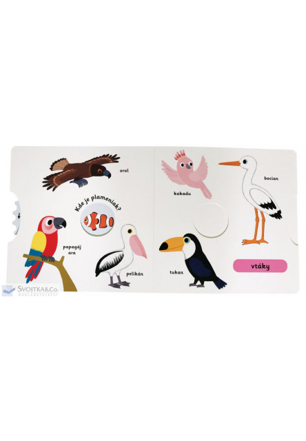 MiniPÉDIA - Objavujeme svet hrou! Zoo