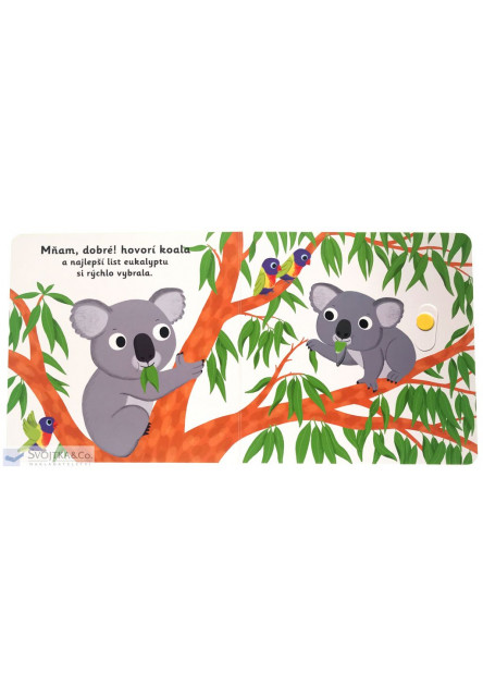 MiniPÉDIA – Dobrú noc, koala!