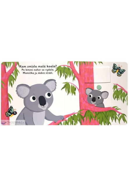 MiniPÉDIA – Dobrú noc, koala!