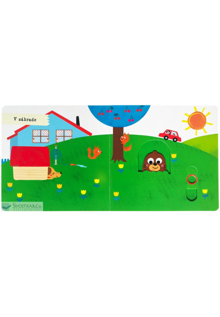 Moje prvé pohybové leporelo - Domáci maznáčikovia