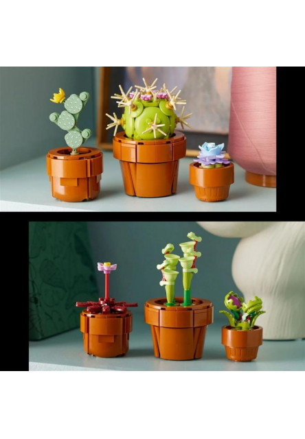 Miniatúrne rastliny