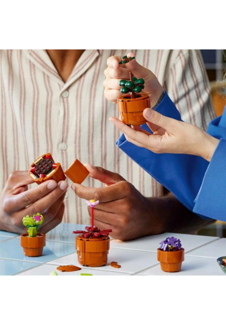 Miniatúrne rastliny