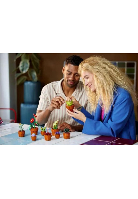 Miniatúrne rastliny