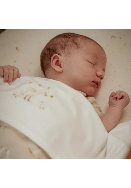 Deka 70x100 cm Husa Newborn Naturals