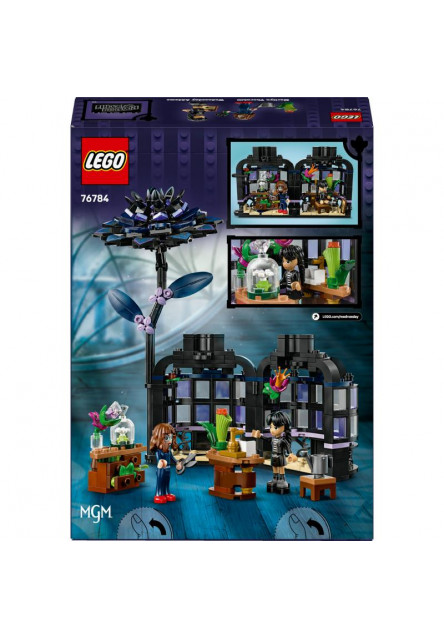 Wednesday Čierna georgína