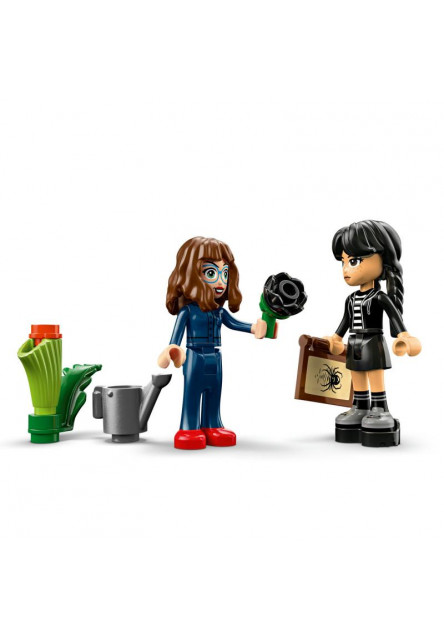 Wednesday Čierna georgína