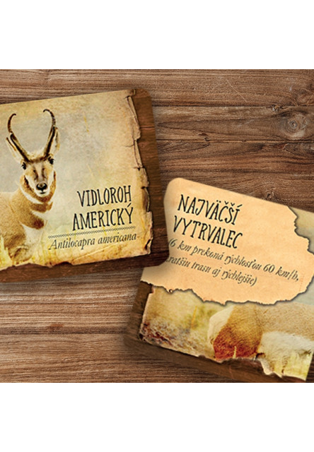 Vedomostné pexeso - Zvieracie naj