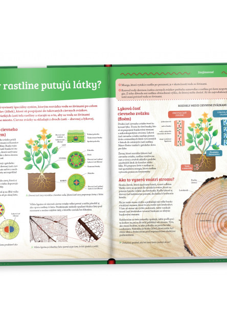 Rastliny - Objavuj svet