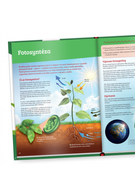 Rastliny - Objavuj svet