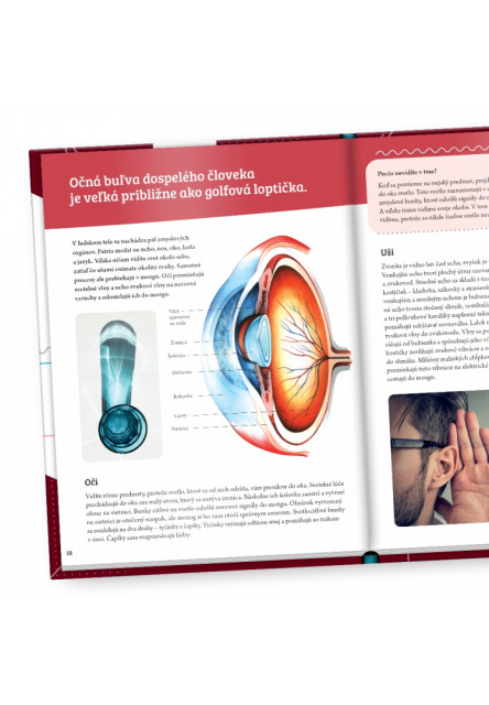 Ľudské telo - Albi Science - 2.vydanie