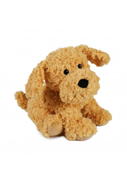 Hrejivý kokršpaniel