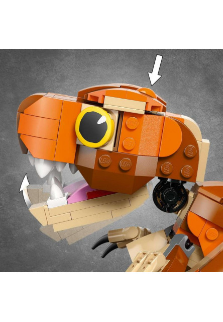 Malá Žravka: T-rex