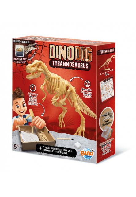 Dinodig vykopávka a kostra Tyranosaurus