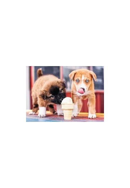 Trefl Puzzle Čas na zmrzlinu 500