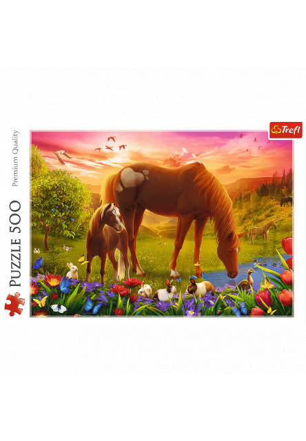 Trefl Puzzle 500 - Kone na lúke