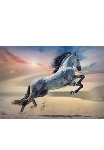 Trefl Puzzle 1000 - Majestátny kôň