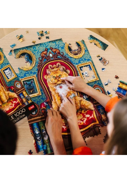 Trefl Puzzle Magic Collection 1000 Kotomania