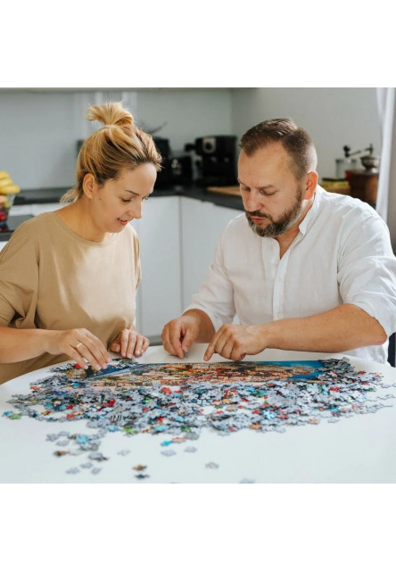 Trefl Puzzle Premium Plus Quality 1000 el. Secret Puzzle: Joyland