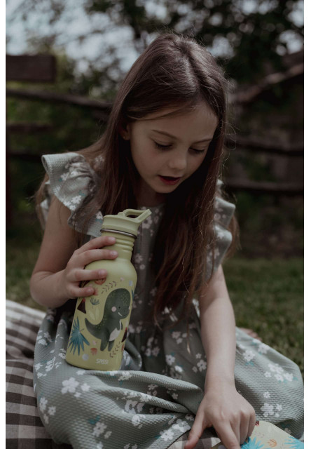 Nerezová fľaša  - 500ml - dinosaur