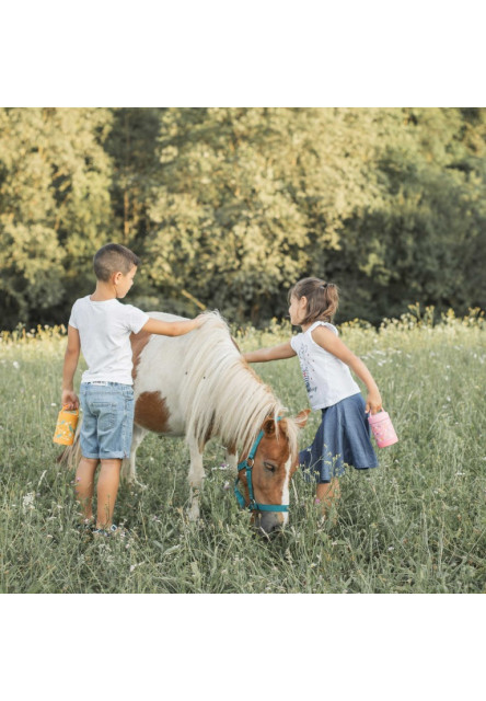 Detská termoska na jedlo  - chompy the lion - 350ml