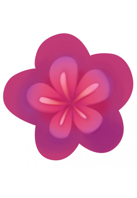 Hladné mucholapky Nakŕm ich muchami a sleduj, ako rastú! Anglická verzia