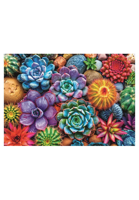 Trefl Puzzle 1000 Farebné sukulenty