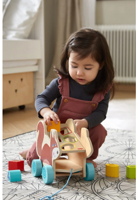 Ťahacia hračka s vkladacími tvarmi - veverička