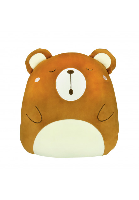 Vankúš a deka 2v1 - Medvedík