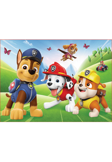 Trefl Puzzle 2v1 + pexeso - Psí tím v akcii / Viacom PAW Patrol