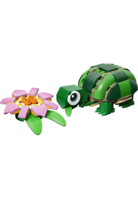 Korytnačka s leknom