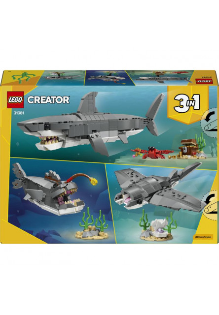 Divoký žralok a truhlica s pokladom