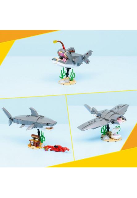 Divoký žralok a truhlica s pokladom