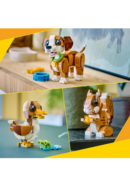 Roztomilé zvieratká: Hravé šteniatko