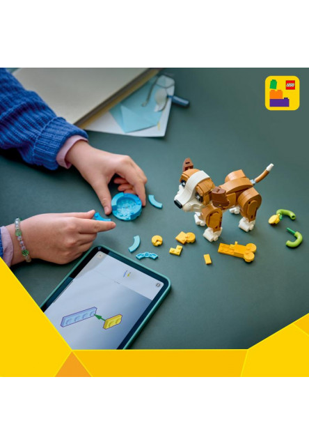 Roztomilé zvieratká: Hravé šteniatko