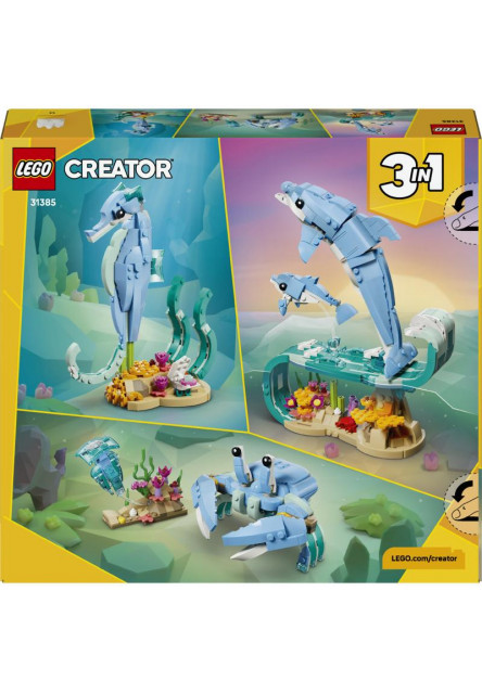 Morské živočíchy: Krásne delfíny