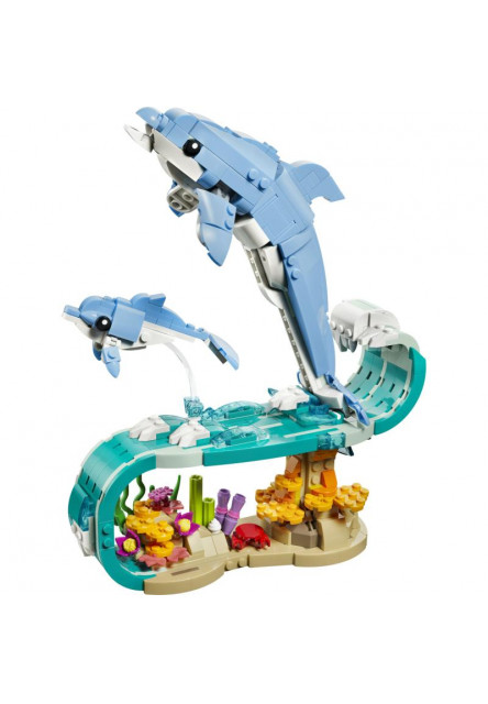 Morské živočíchy: Krásne delfíny