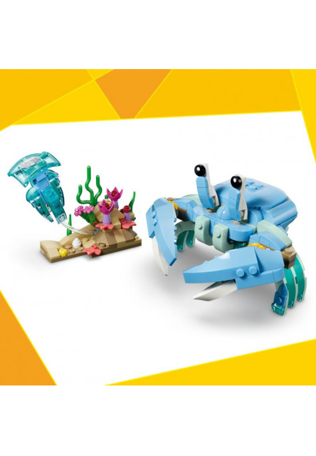 Morské živočíchy: Krásne delfíny