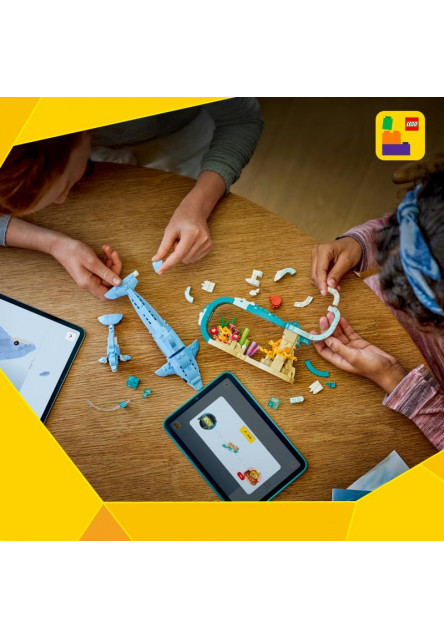 Morské živočíchy: Krásne delfíny