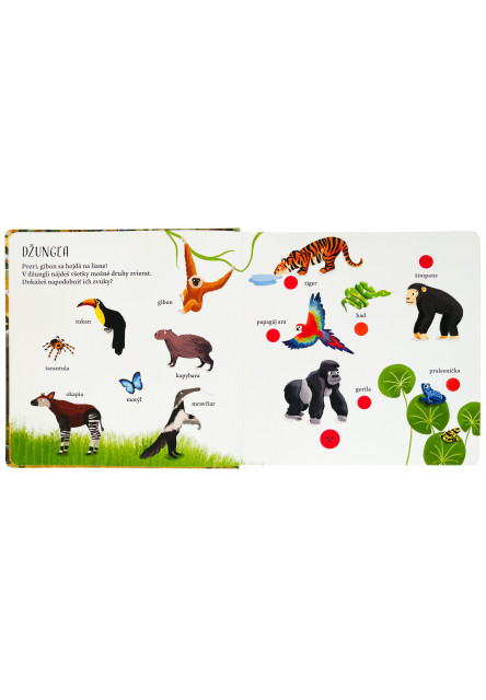 Veľká obrázková kniha - Zvuky zvierat
