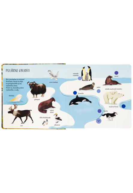 Veľká obrázková kniha - Zvuky zvierat